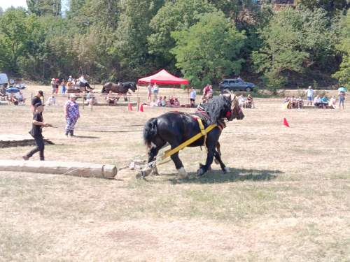 IMG_20260808_130620